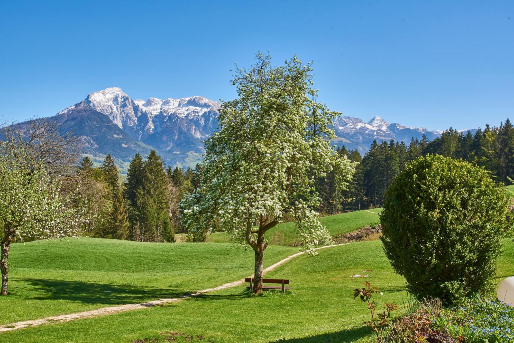 Alpenhotel Hundsreitlehen Бишофсвизен Экстерьер фото
