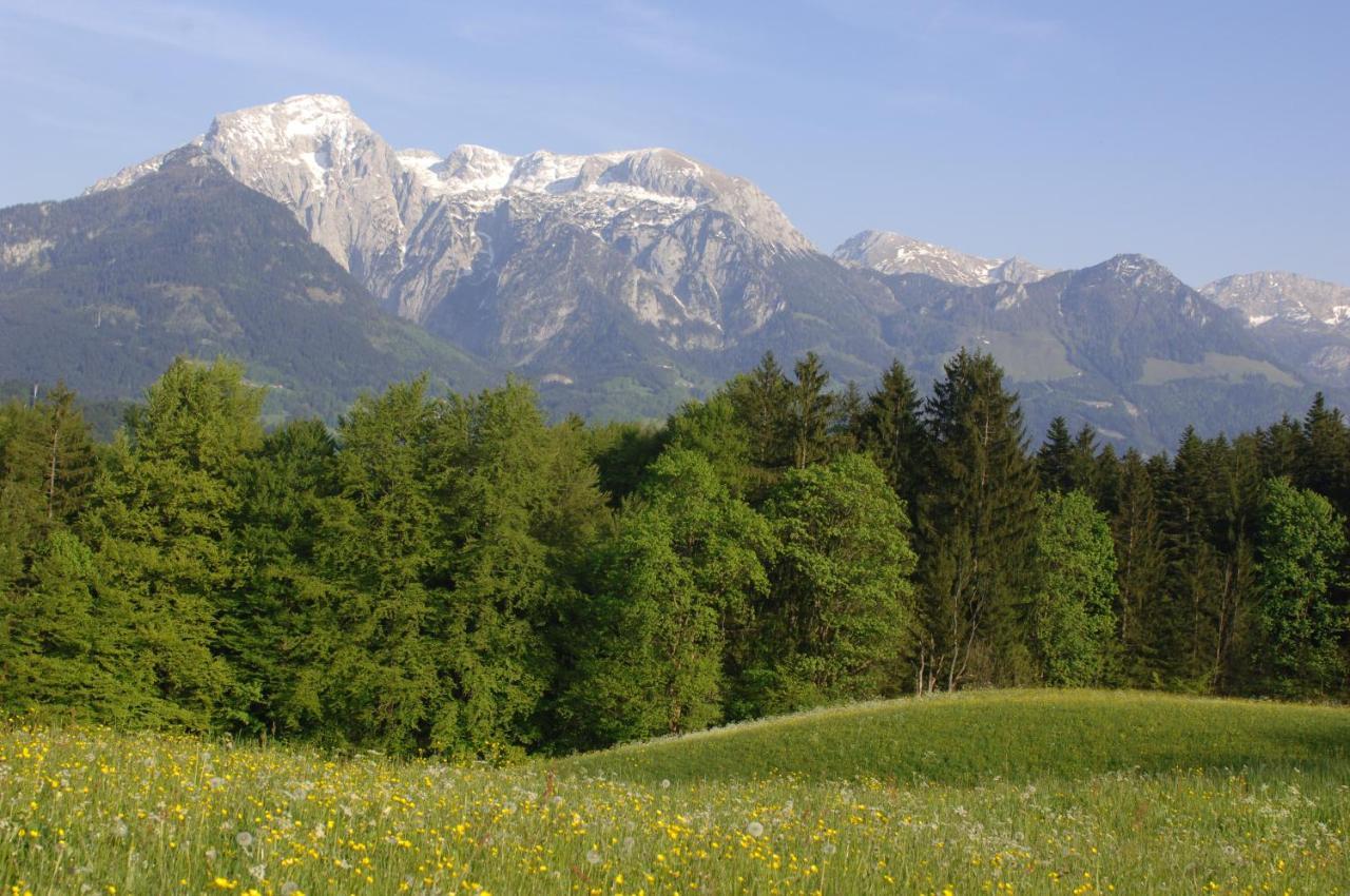 Alpenhotel Hundsreitlehen Бишофсвизен Экстерьер фото